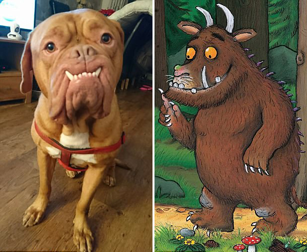 ��ͯ������