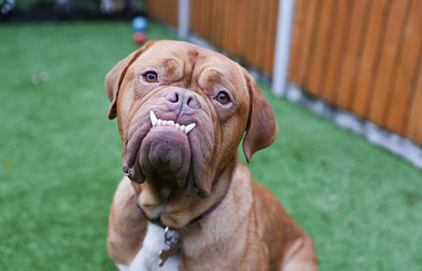 ��ͯ������